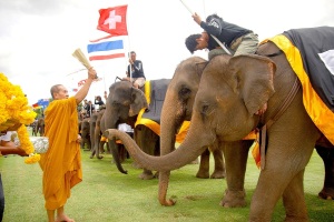 Elephant Polo Monks blessing